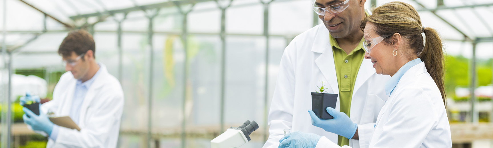 two scientists in greenhouse